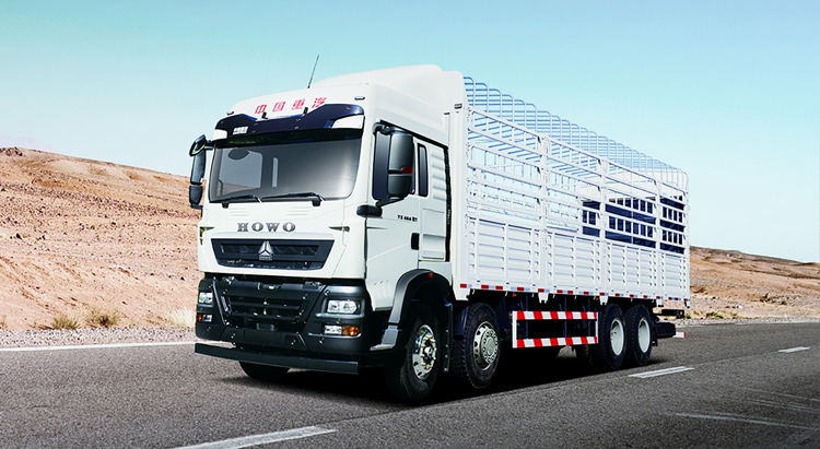 Howo TX 8X4 Cargo Truck